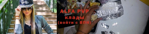 гашик Верея