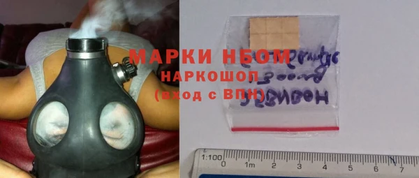 гашик Верея