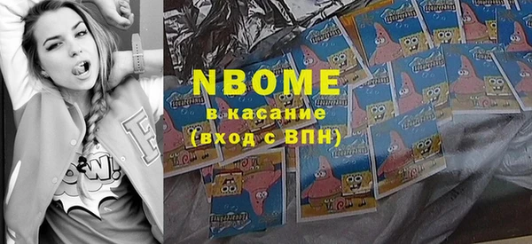 гашик Верея