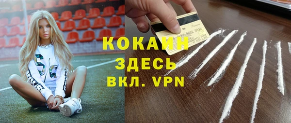 гашик Верея