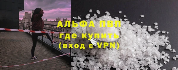 гашик Верея
