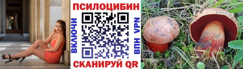 Псилоцибиновые грибы Psilocybine cubensis  Купить где  Тайшет 